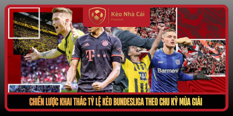 Chien Luoc Khai Thac Ty Le Keo Bundesliga Theo Chu Ky Mua Giai
