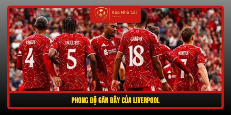 Phong Do Gan Day Cua Liverpool